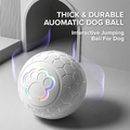 Smart Interactive Pet Toy Ball